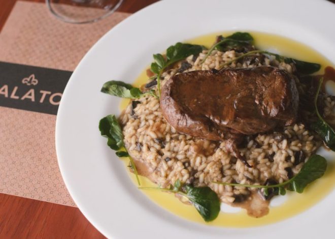 Palato realiza evento gastronômico com degustação de vinhos no RioMar Recife