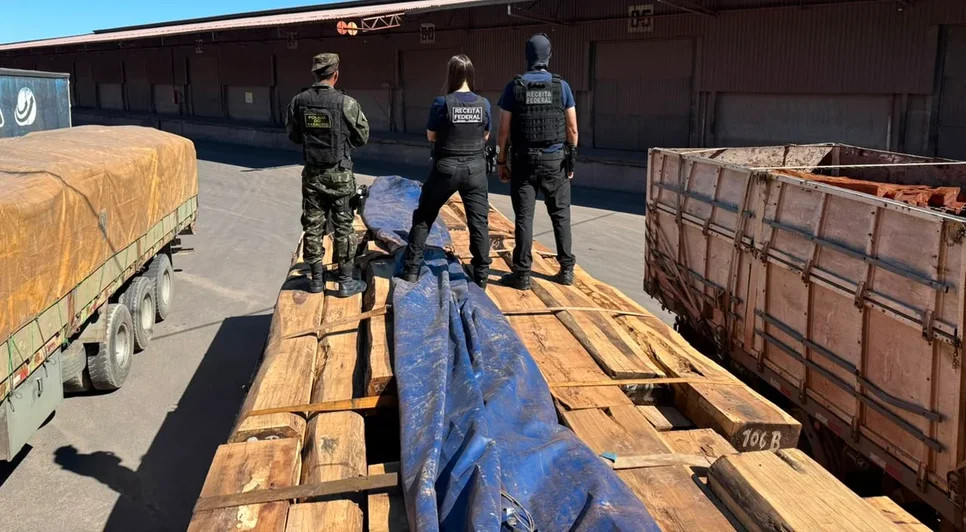 Apreensão de cocaína em cargas de madeira pode ser a maior da história do Brasil, diz Receita Federal